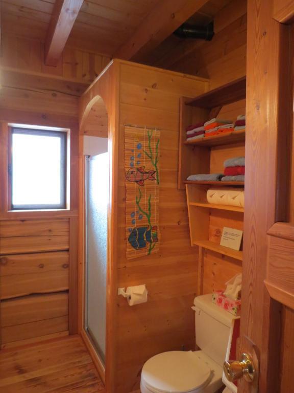 גולדן Blaeberry Mountain Lodge חדר תמונה