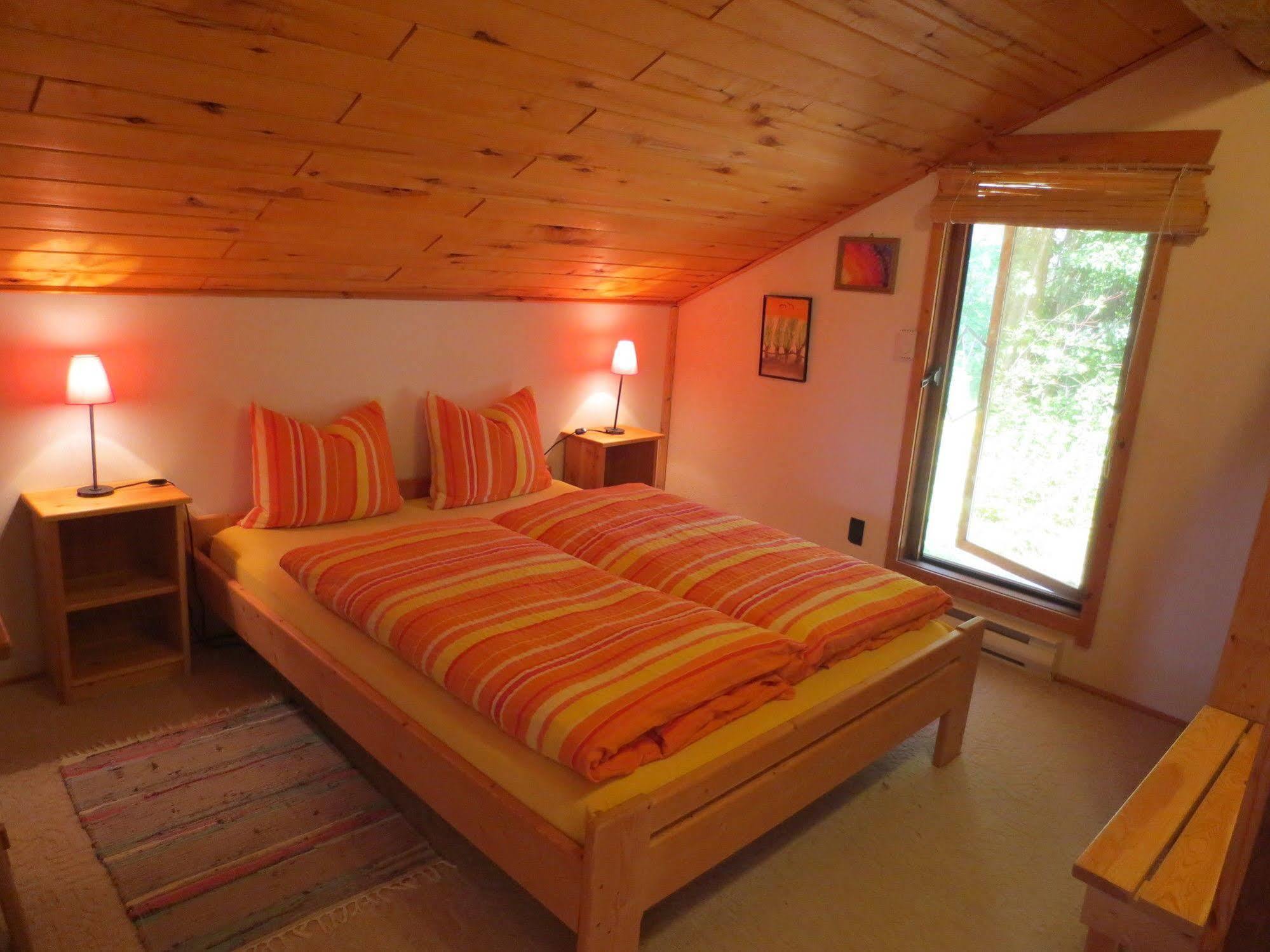 גולדן Blaeberry Mountain Lodge מראה חיצוני תמונה